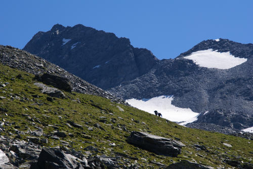 Ankogel / Hohe Tauern / Österreich